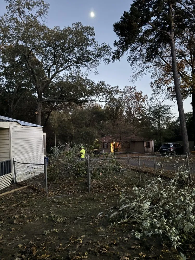 Affordable lawn care service for beautiful yards across Attalla, AL - Carden Tree Service