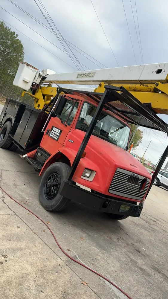 Professional yard cleanup service in Attalla, AL - Carden Tree Service