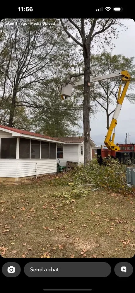 Affordable landscape installation in Attalla, AL - Carden Tree Service