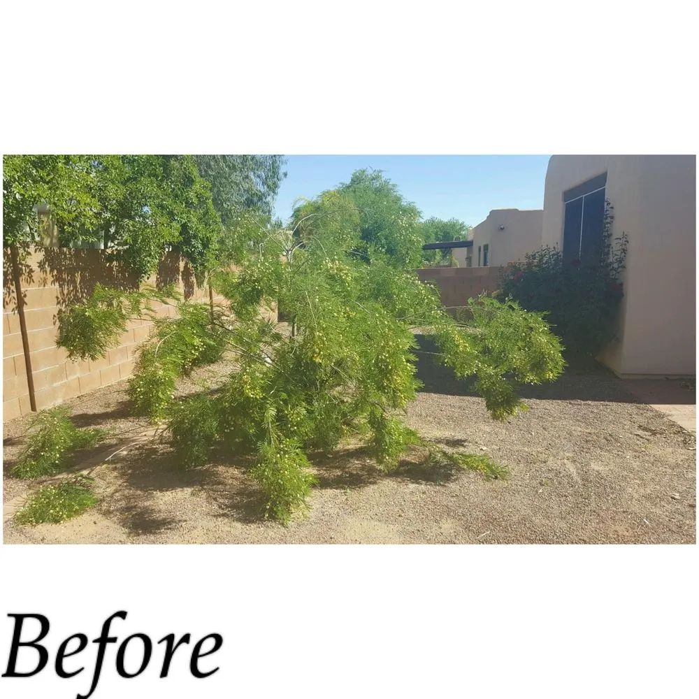 Expert lawn mowing service for outdoor upgrades in Tucson, AZ by Cardenas Landscapes