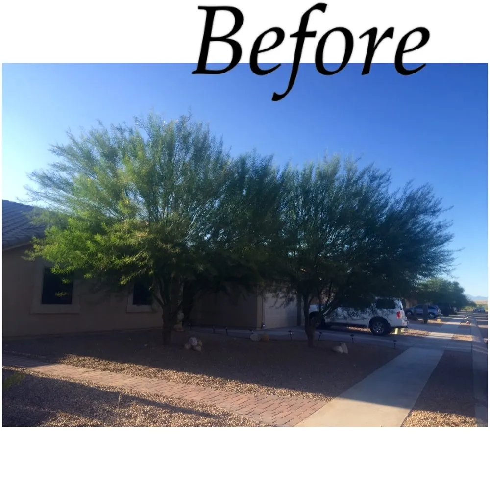 Top-rated residential landscaping with custom design in Tucson, AZ by Cardenas Landscapes