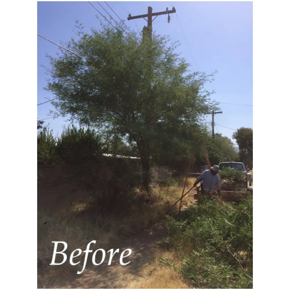 Reliable residential landscaping in Tucson, AZ by Cardenas Landscapes