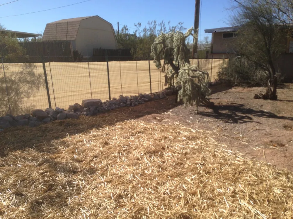 Top-rated yard cleanup service in Tucson, AZ by Cardenas Landscapes
