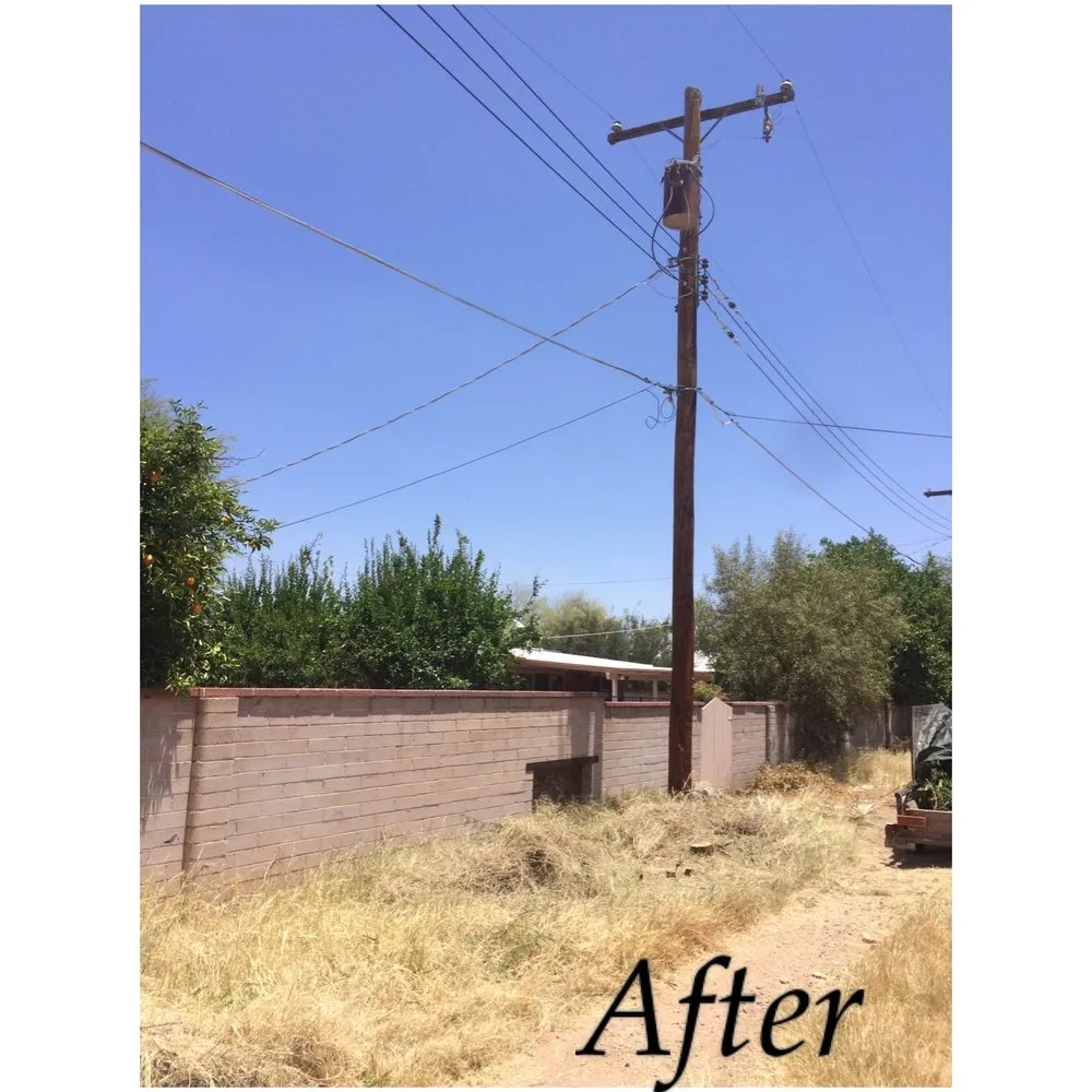 Top-rated yard cleanup service for residential properties in Tucson, AZ by Cardenas Landscapes