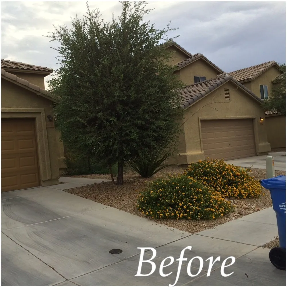 Professional lawn care service for homes across Tucson, AZ - Cardenas Landscapes