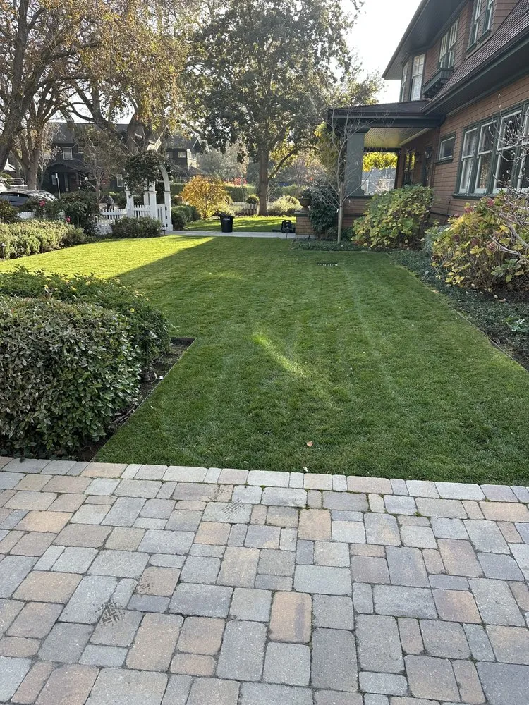 Trusted yard cleanup service for year-round maintenance in Hayward, CA by Cardenas Landscaping and Gardening