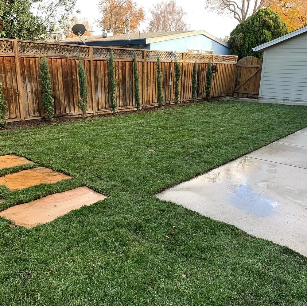 Professional yard cleanup service in Hayward, CA by Cardenas Landscaping and Gardening