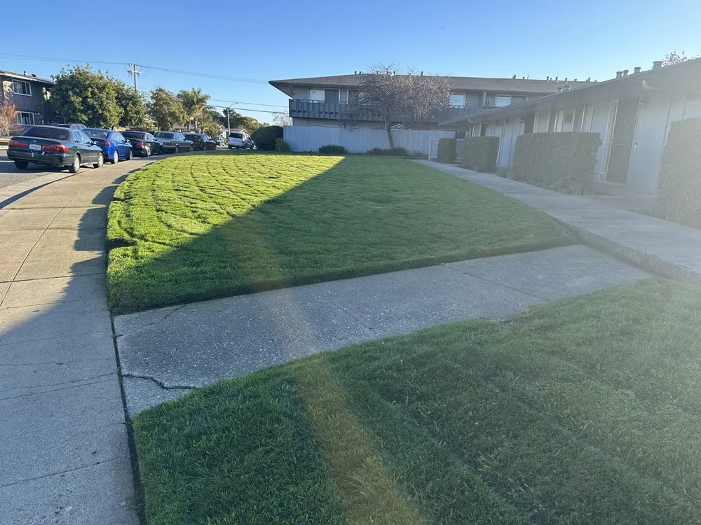 Professional lawn mowing service in Hayward, CA by Cardenas Landscaping and Gardening