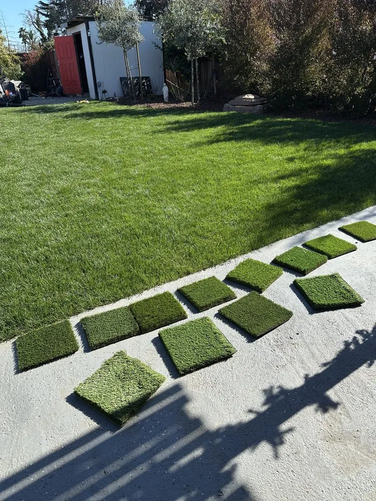 Trusted lawn mowing service in Hayward, CA by Cardenas Landscaping and Gardening
