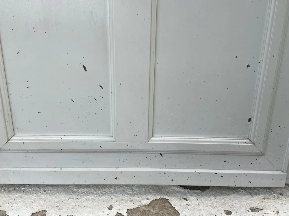 Professional yard cleanup service for residential properties across Evanston, IL - Cardenas Landscaping