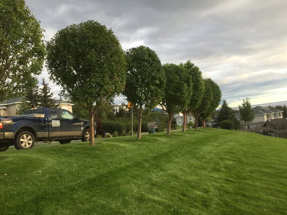 Local landscape installation for outdoor upgrades in Anchorage, AK by Cardenas Landscaping Service