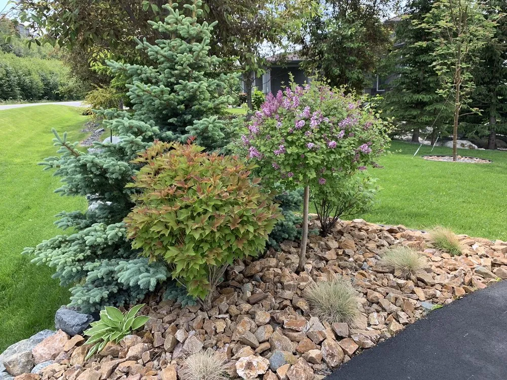 Expert residential landscaping in Anchorage, AK by Cardenas Landscaping Service