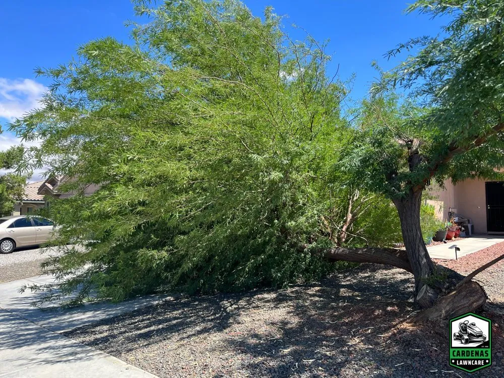 Expert landscaping services for homes across Victorville, CA - Cardenas Lawncare