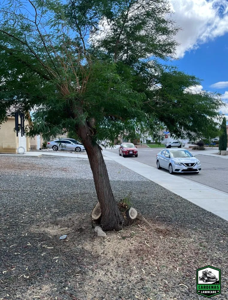 Professional lawn mowing service for beautiful yards in Victorville, CA by Cardenas Lawncare