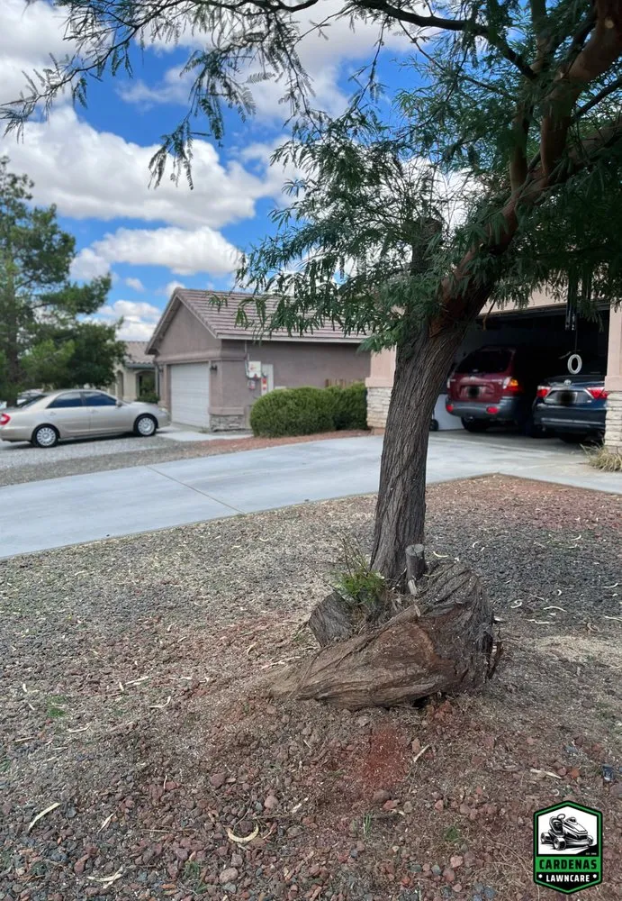 Affordable outdoor landscaping experts serving Victorville, CA - Cardenas Lawncare