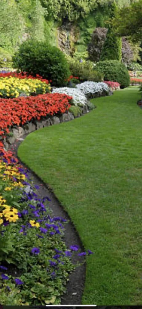 Trusted lawn mowing service in Elizabethton, TN by Cardens Lawn Care