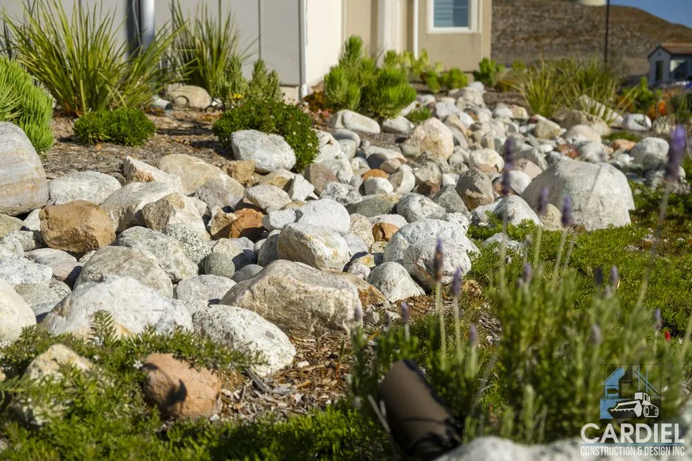 Reliable lawn care service in Los Angeles, CA - Cardiel Construction & Design