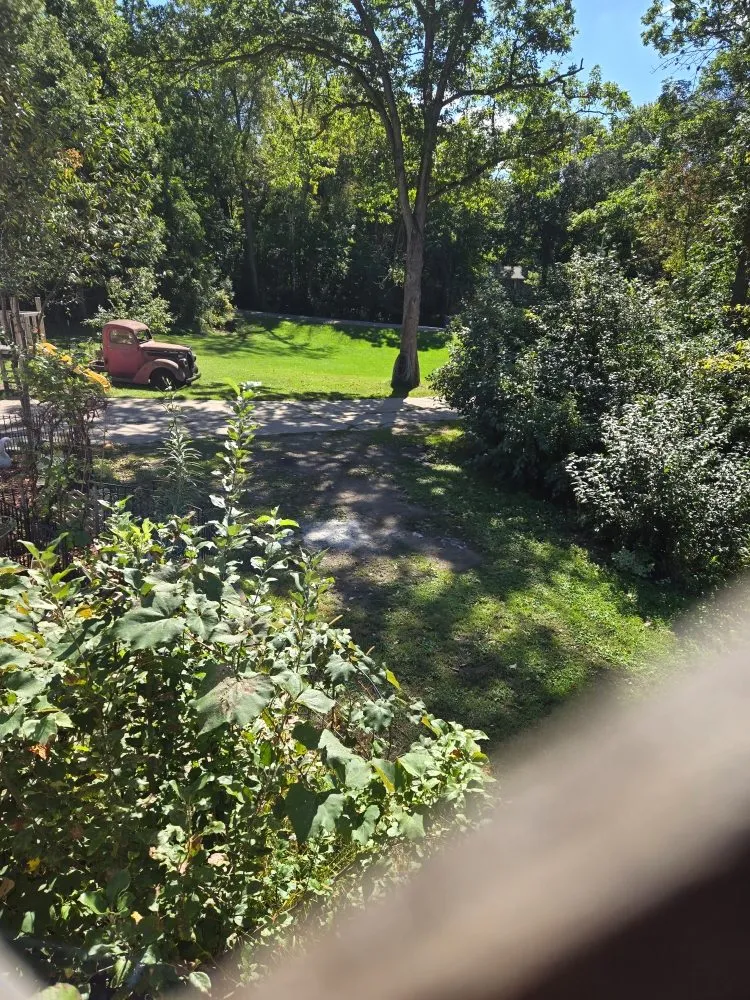 Custom yard cleanup service for beautiful yards across Forest Lake, MN - Cardinal Company