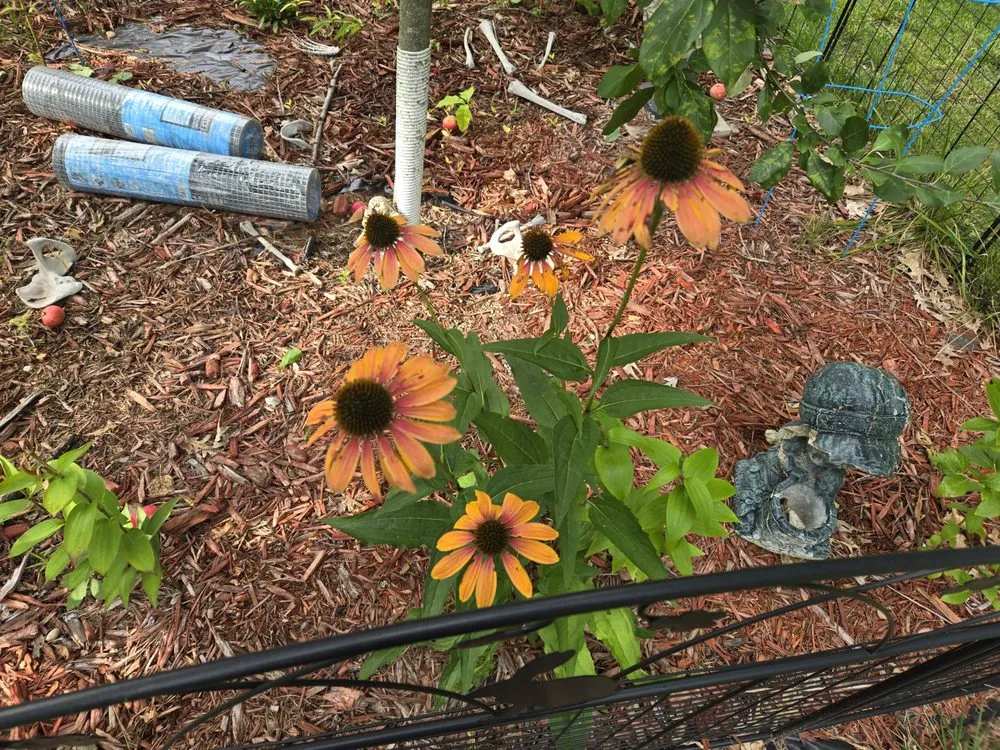 Trusted garden landscaping in Forest Lake, MN by Cardinal Company