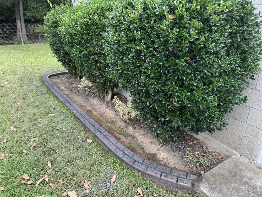 Trusted yard cleanup service in Taylorsville, KY - Cardinal Curbing