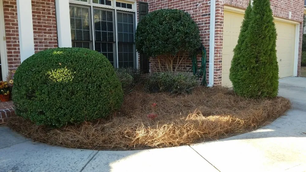 Expert landscape design experts serving Powder Springs, GA - Cardinal Cuts
