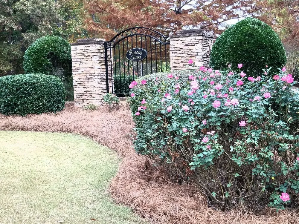 Local landscaping services experts serving Powder Springs, GA - Cardinal Cuts