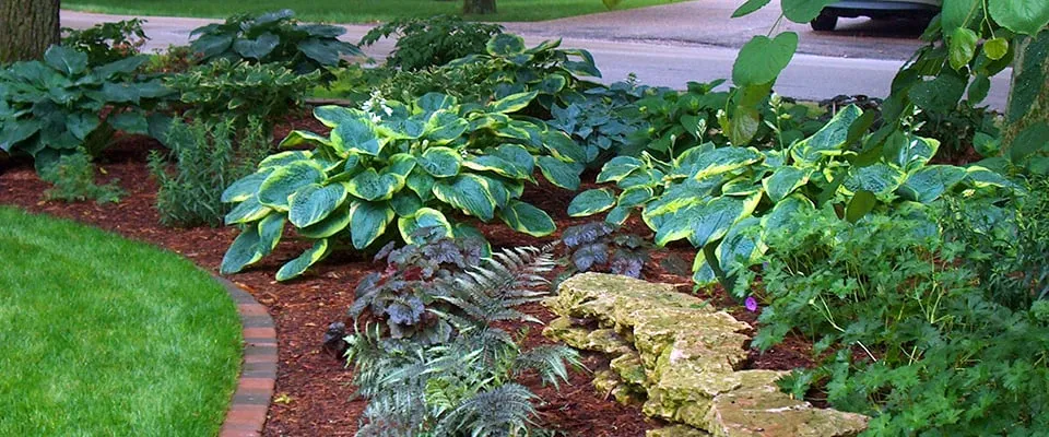 Professional outdoor landscaping experts serving Sterling, VA - Cardinal Green Landscaping