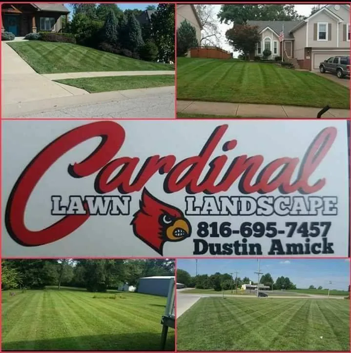 Expert yard maintenance experts serving Lawson, MO - Cardinal Landscape and Lawn