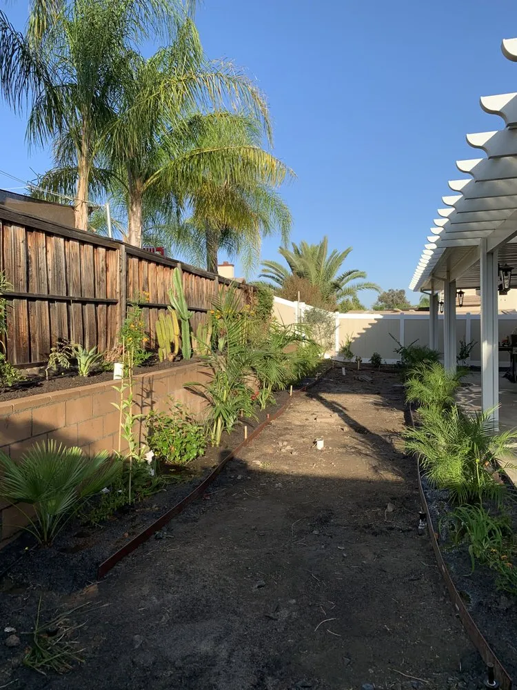 Reliable lawn care service near you in Canyon Lake, CA by Cardinal Landscape