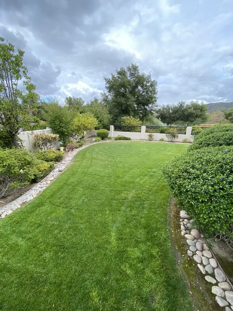 Local lawn care service in Canyon Lake, CA by Cardinal Landscape