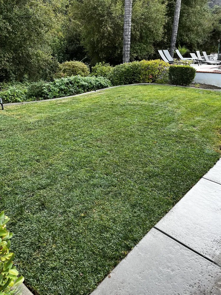 Professional residential landscaping for residential properties in Canyon Lake, CA by Cardinal Landscape