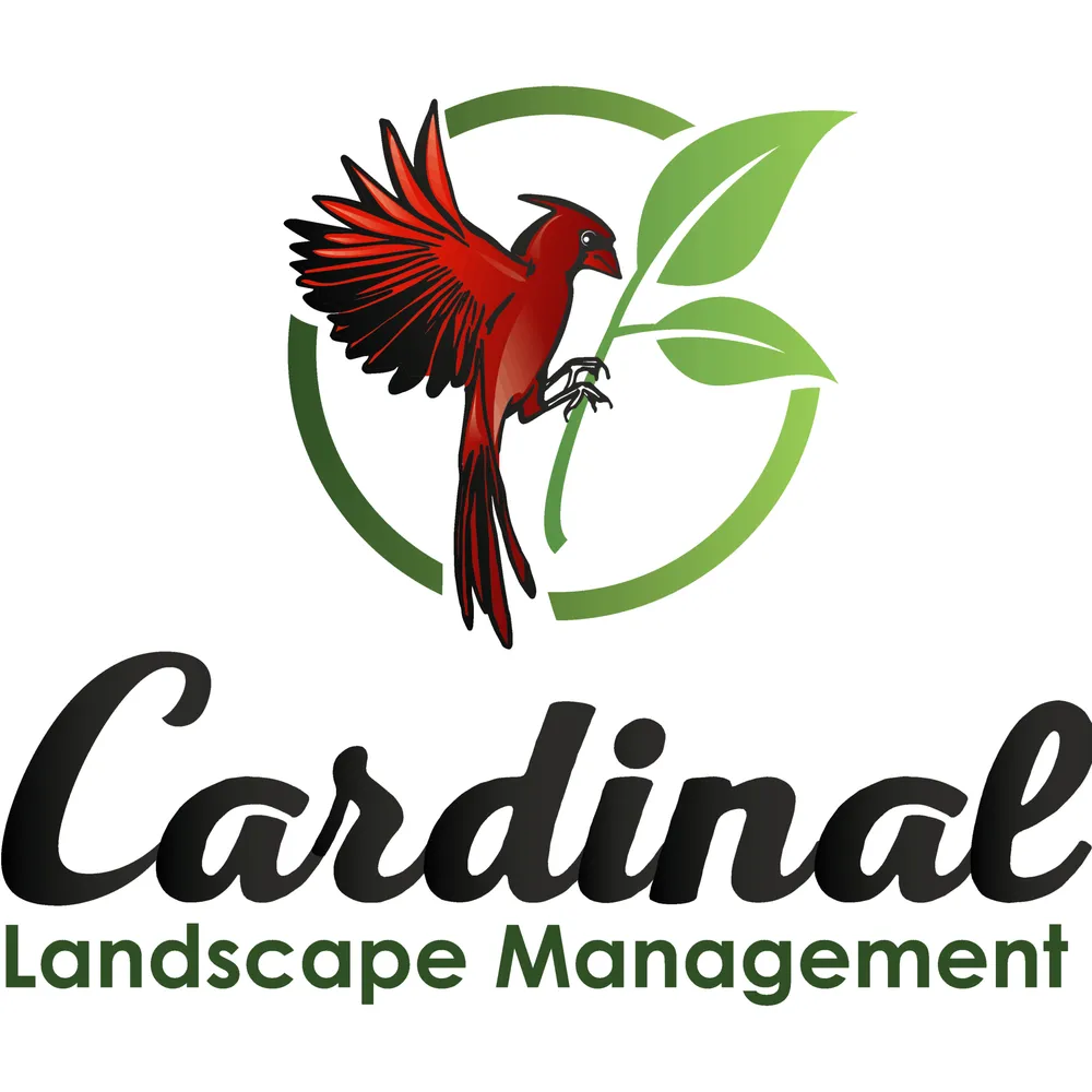 Top-rated landscape design in Katy, TX - Cardinal Landscape Management