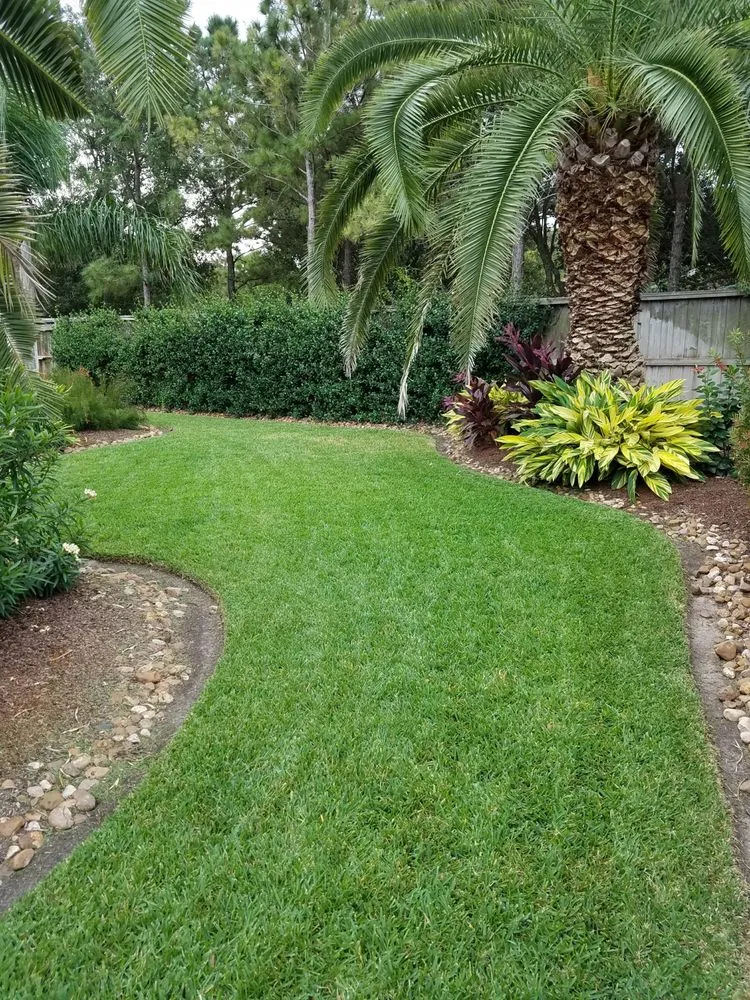 Top-rated landscape design in Katy, TX - Cardinal Landscape Management