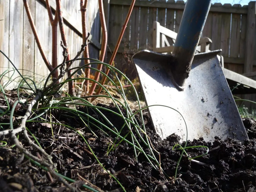 Expert landscaping services experts serving Pittsburgh, PA - Cardinal Landscape Services