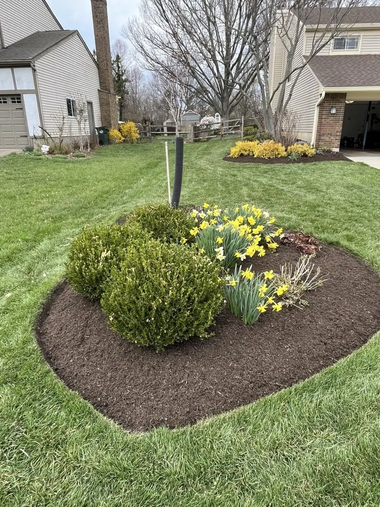 Custom lawn care service in Lebanon, OH by Cardinal Landscape, Tree Service & Lawn Care