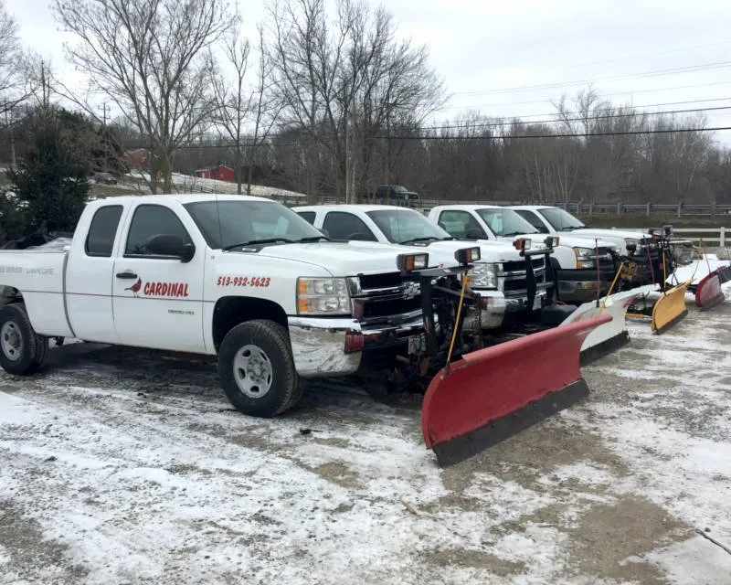 Custom lawn care service in Lebanon, OH by Cardinal Landscape, Tree Service & Lawn Care