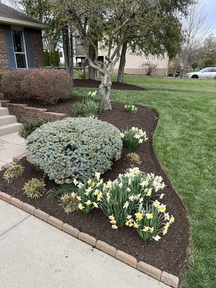 Custom lawn care service in Lebanon, OH - Cardinal Landscape, Tree Service & Lawn Care