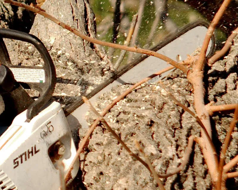 Expert yard maintenance experts serving Lebanon, OH - Cardinal Landscape, Tree Service & Lawn Care