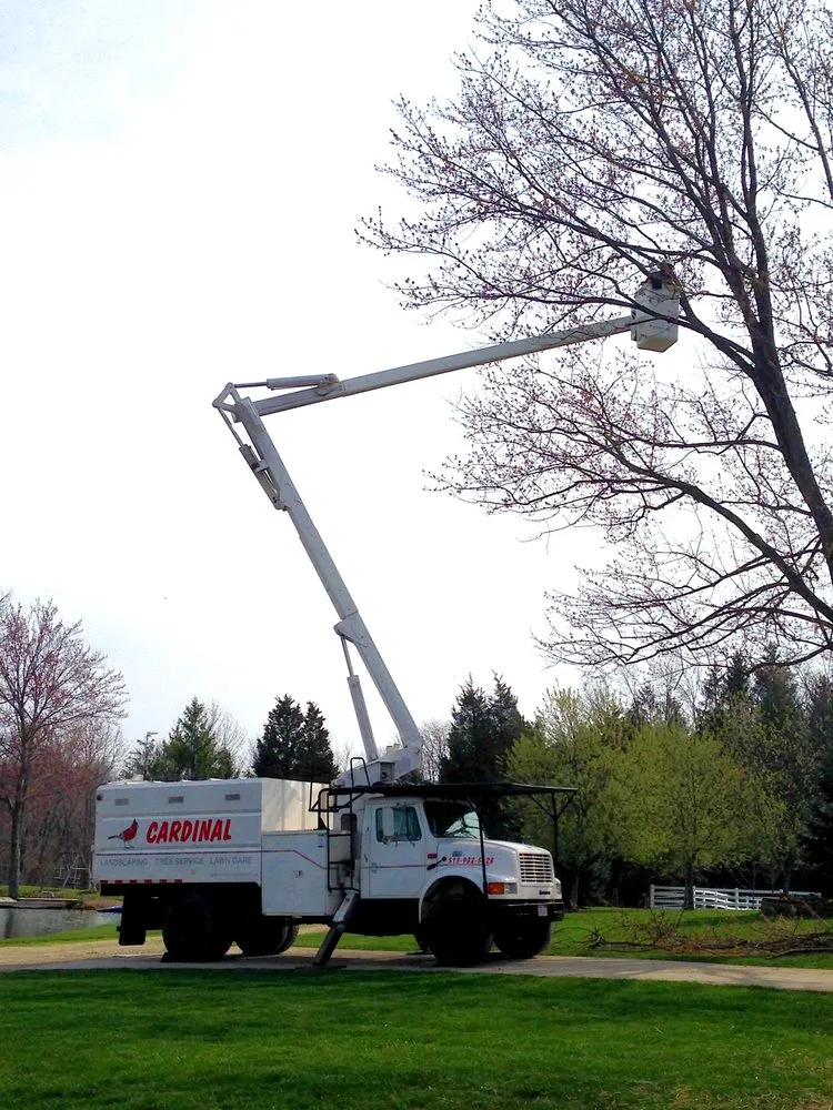 Local yard cleanup service for outdoor upgrades in Lebanon, OH by Cardinal Landscape, Tree Service & Lawn Care