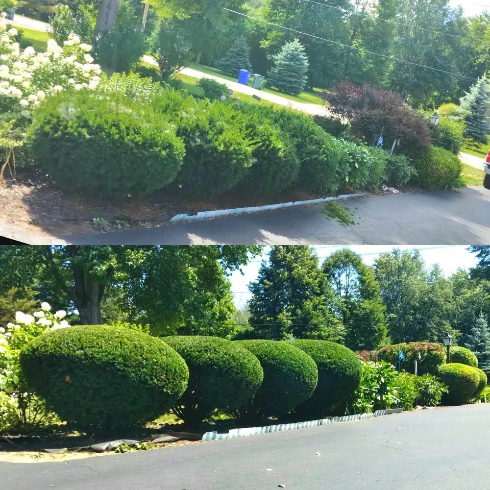 Affordable yard maintenance near you in Clarksville, TN by Cardinal Landscaping