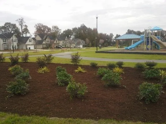 Expert yard cleanup service in Fayetteville, NC by Cardinal Landscaping