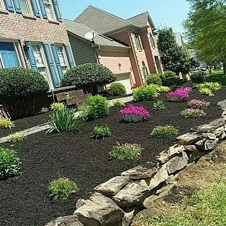 Local lawn care service in Knoxville, TN - Cardinal landscaping