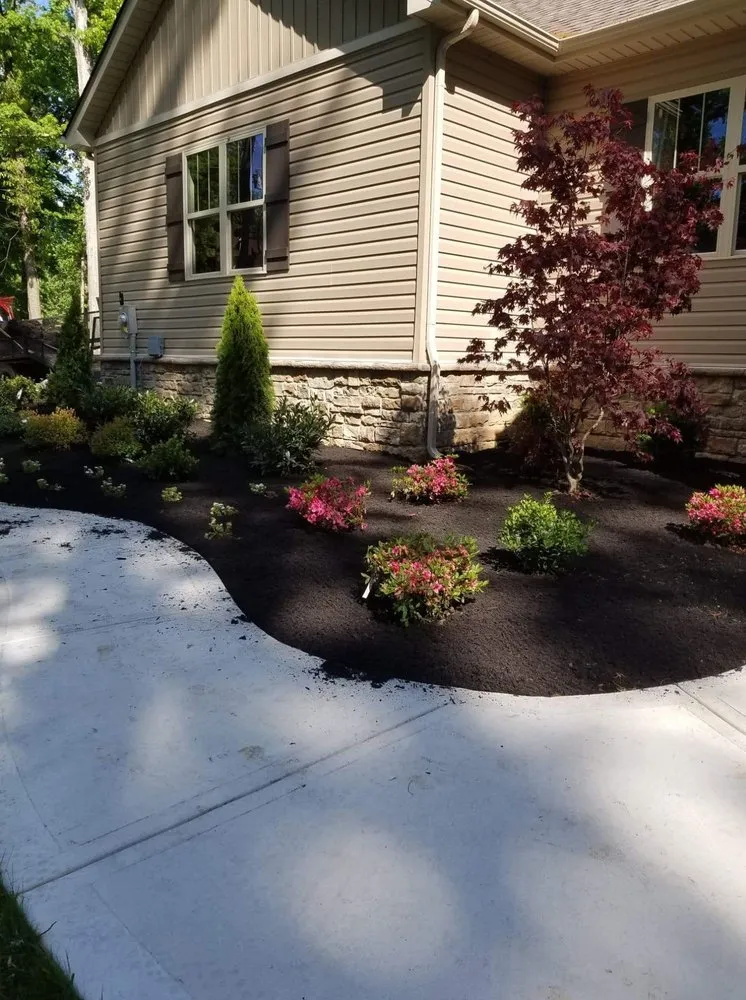 Reliable yard cleanup service for homes in Knoxville, TN by Cardinal landscaping