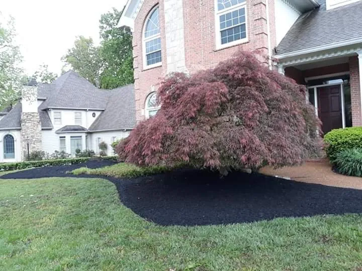 Professional yard maintenance experts serving Knoxville, TN - Cardinal landscaping