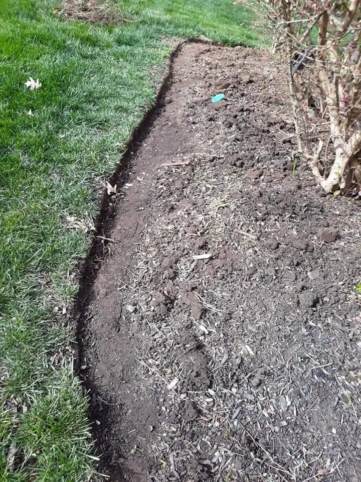 Affordable lawn care service for outdoor upgrades in Knoxville, TN by Cardinal landscaping