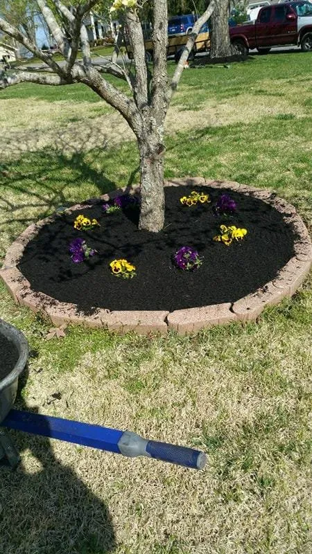 Professional garden landscaping experts serving Knoxville, TN - Cardinal landscaping