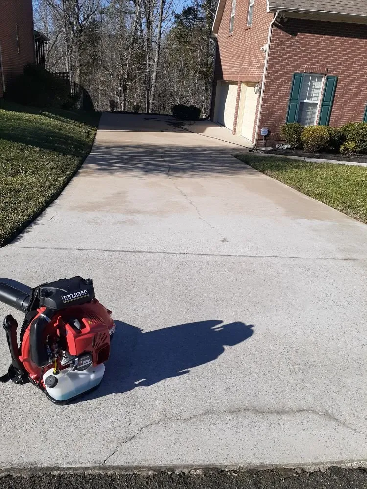 Professional yard cleanup service for year-round maintenance in Knoxville, TN by Cardinal landscaping