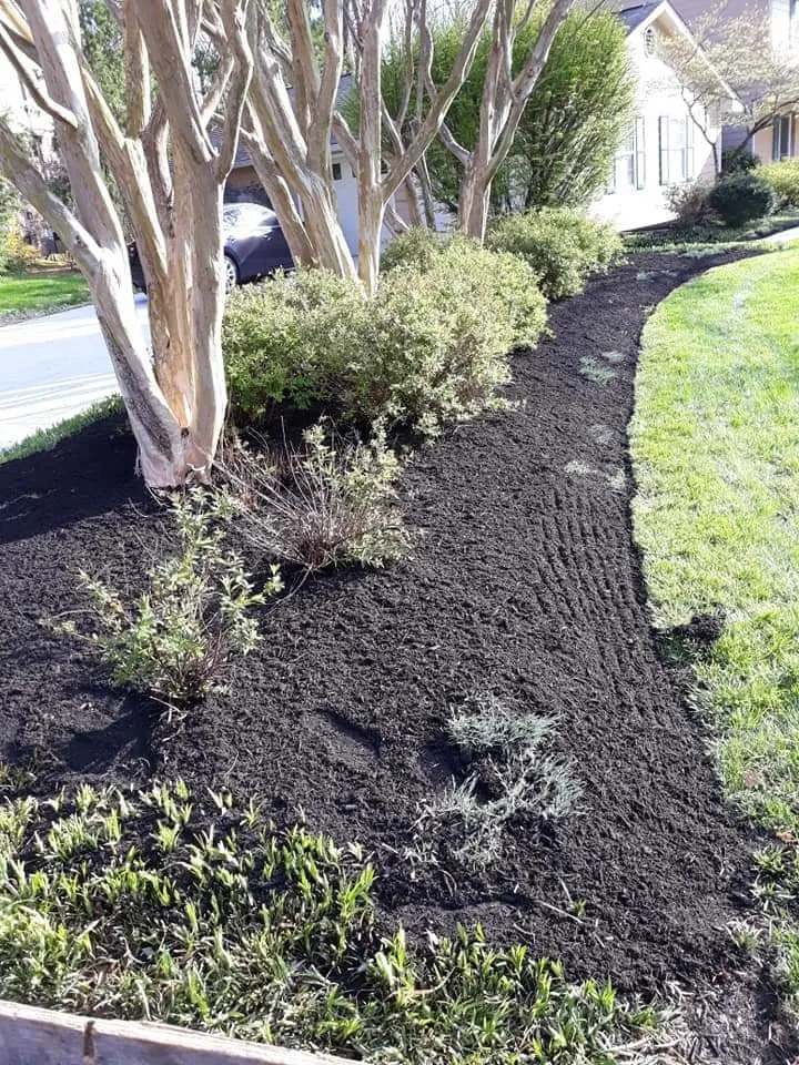 Reliable yard cleanup service in Knoxville, TN - Cardinal landscaping