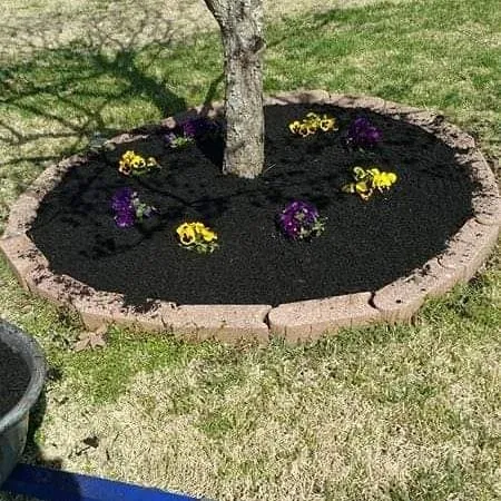 Custom garden landscaping for year-round maintenance in Knoxville, TN by Cardinal landscaping