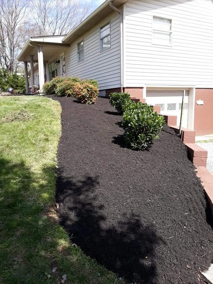Trusted lawn care service experts serving Knoxville, TN - Cardinal landscaping